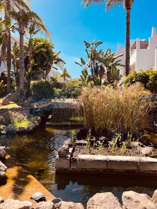 Elegant Apartment In Amarilla Golf - Fw 411 サンミゲル・デ・アボナ エクステリア 写真